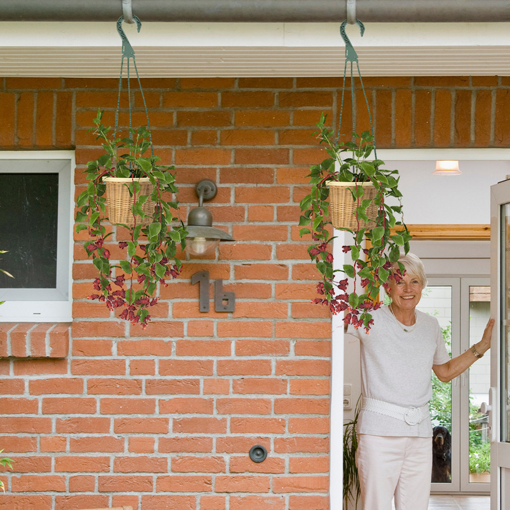 Juego de 5 ganchos para colgar - Spider Plant Hanging reseña y precio