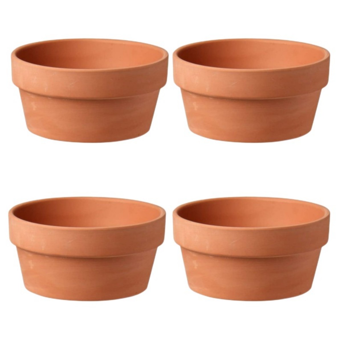 6 uds macetas de terracota Bul - Echeveria Succulent reseña y precio