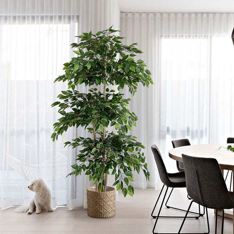 Ficus-árbol Artificial de 70 p - Ficus Lyrata Tree reseña y precio