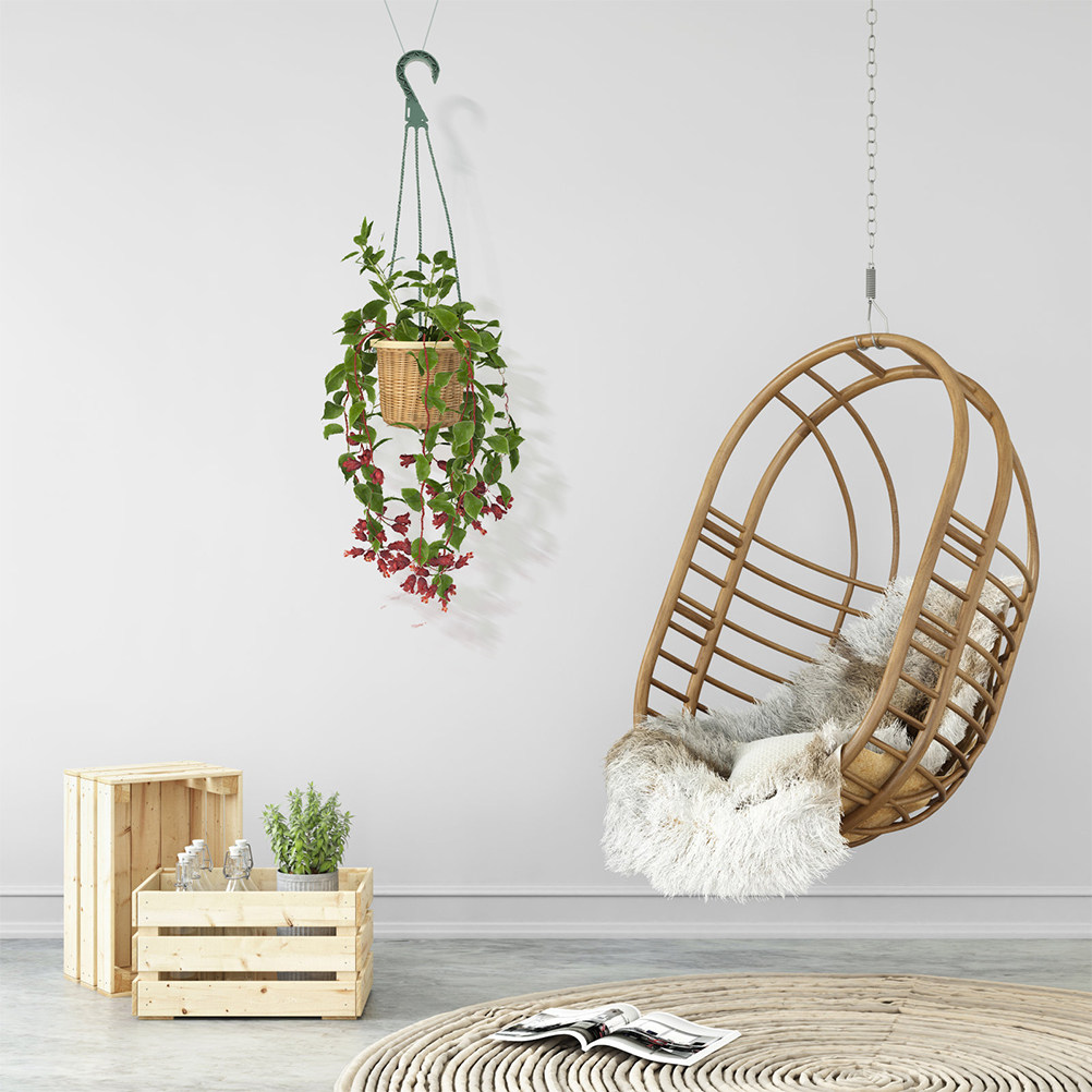 Juego de 5 ganchos modernos y  - Spider Plant Hanging reseña y precio