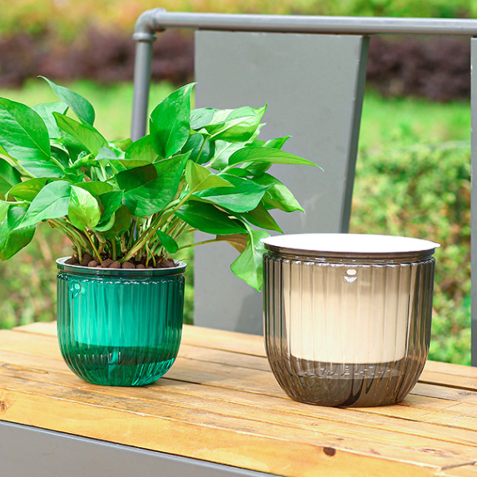 Macetas automáticas con autorr - Spider Plant Hanging reseña y precio