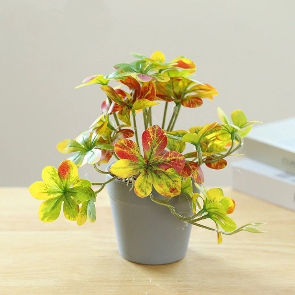 Bonsái Artificial, Planta Arañ - Spider Plant Hanging reseña y precio