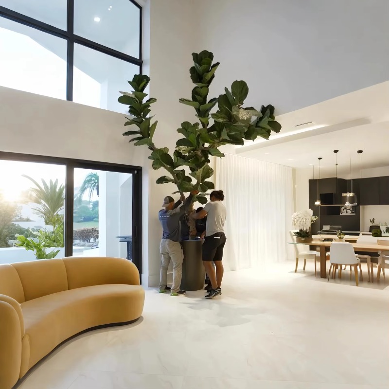Plantas artificiales Planta en - Ficus Lyrata Tree reseña y precio