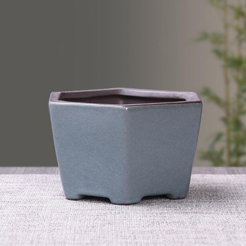 Maceta de cerámica Retro para  - Echeveria Succulent reseña y precio