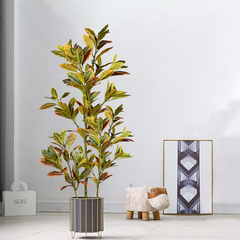 Árbol de Ficus falso grande de - Ficus Lyrata Tree reseña y precio