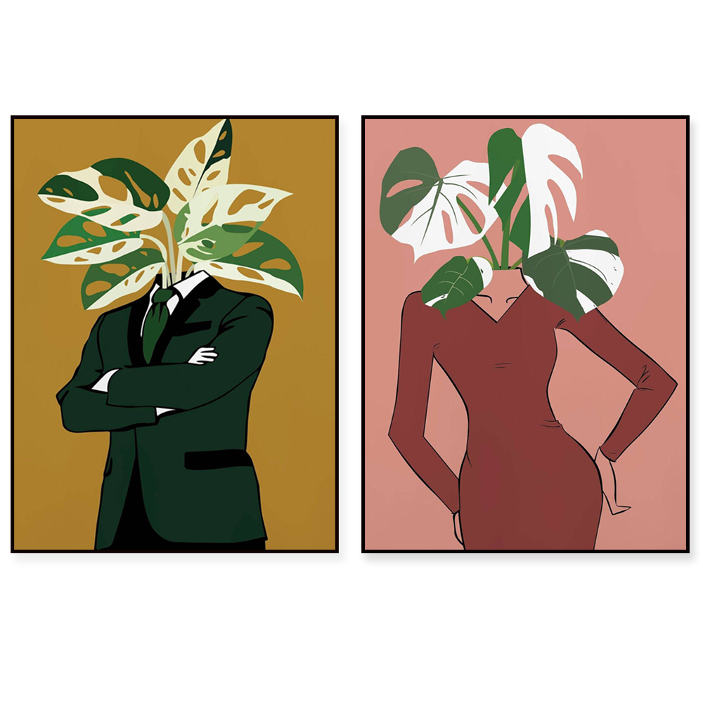 ¡Monstera Albo con un cartel d - Monstera Adansonii reseña y precio