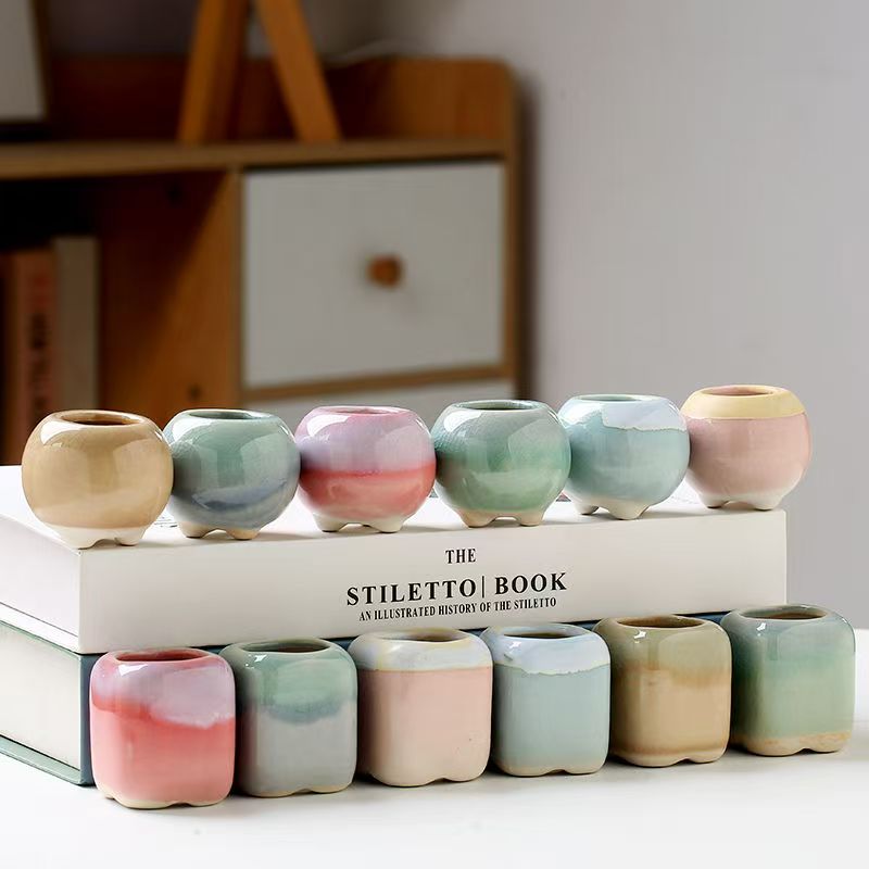 6 uds Mini maceta suculentas p - Echeveria Succulent reseña y precio