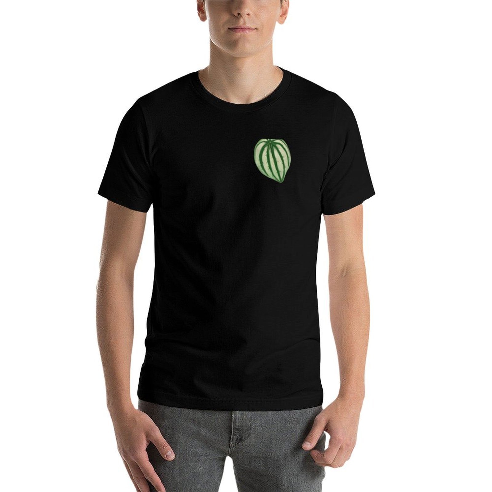 Camiseta Watermelon Peperomia, - Peperomia Watermelon reseña y precio